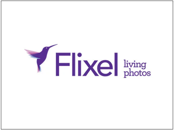 Flixel logo